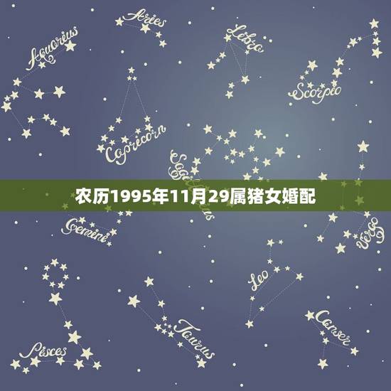 农历1995年11月29属猪女婚配,1996年属鼠的人婚配1995年属 农历1995年11月29属猪女婚配,1996年属鼠的人婚配1995年属