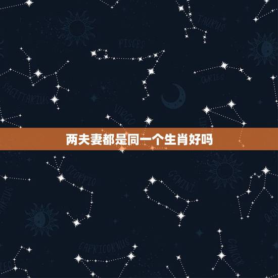 两夫妻都是同一个生肖好吗，夫妻自刑生肖会咋样
