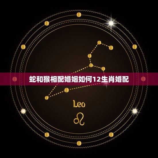 蛇和猴相配婚姻如何12生肖婚配,属蛇和属猴的婚配好吗 蛇和猴相配婚姻如何12生肖婚配,属蛇和属猴的婚配好吗