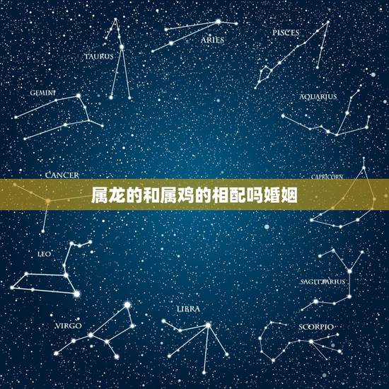 属龙的和属鸡的相配吗婚姻,属鸡93年一生婚姻状况 属龙的和属鸡的相配吗婚姻,属鸡93年一生婚姻状况