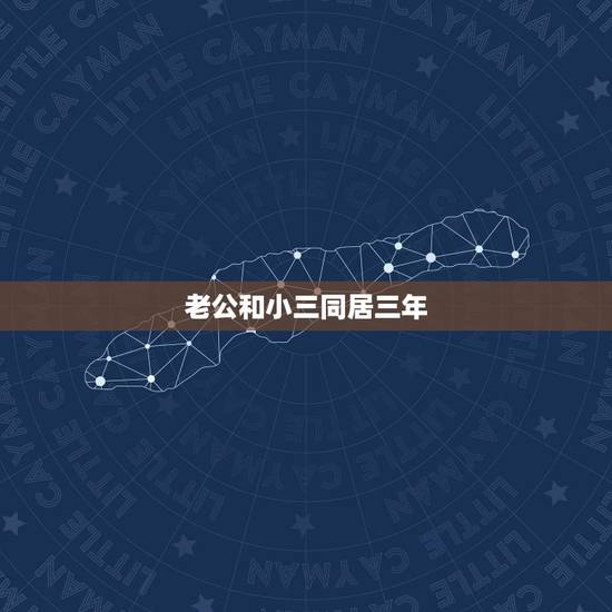 老公和小三同居三年，老公与小三同居三年，我该怎么办
