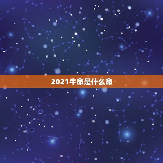 2021牛命是什么命，2021年什么命