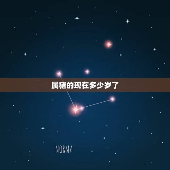 属猪的现在多少岁了，30多岁属猪的是哪年生