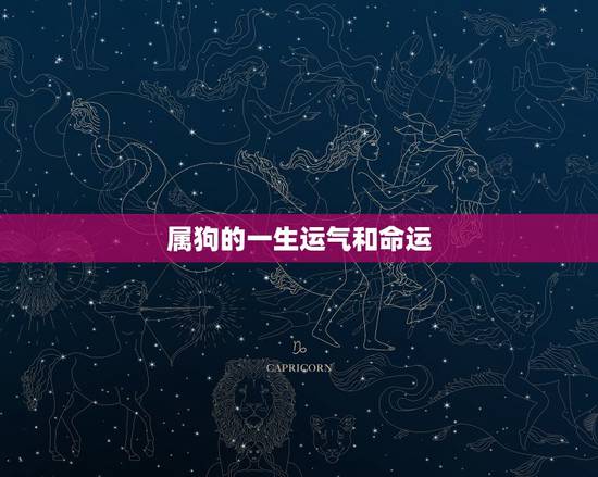 属狗的一生运气和命运，生肖狗的一生婚姻运程