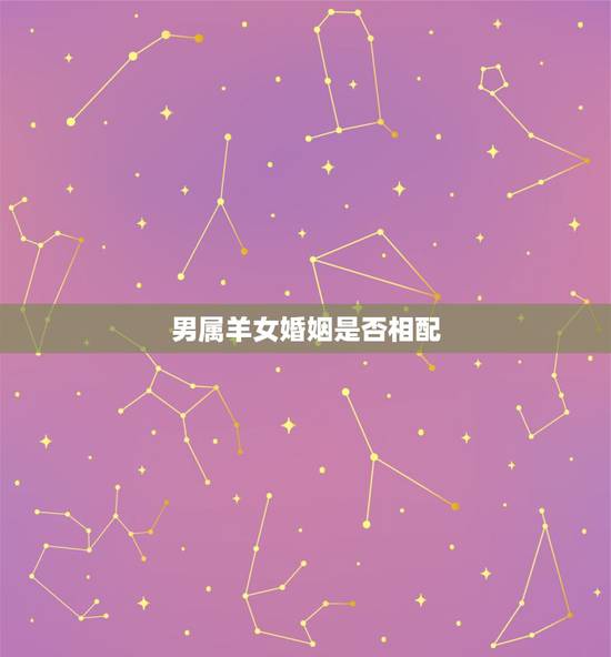 男属羊女婚姻是否相配，属羊和属羊的配对指数