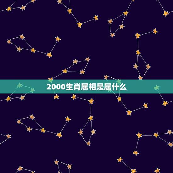 2000生肖属相是属什么，2000年属什么年？