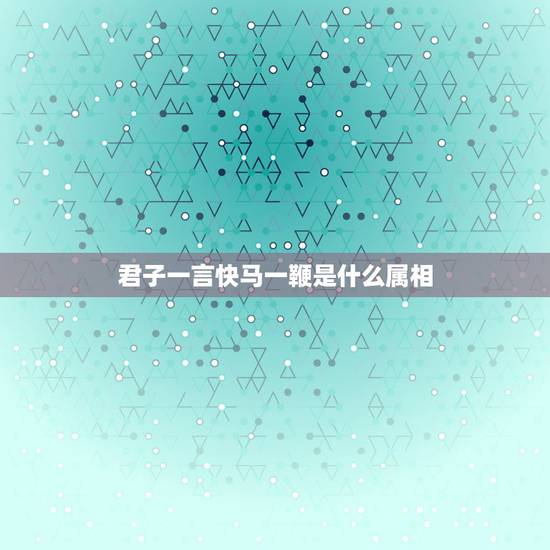 君子一言快马一鞭是什么属相，我说过，君子一言，快马一鞭！