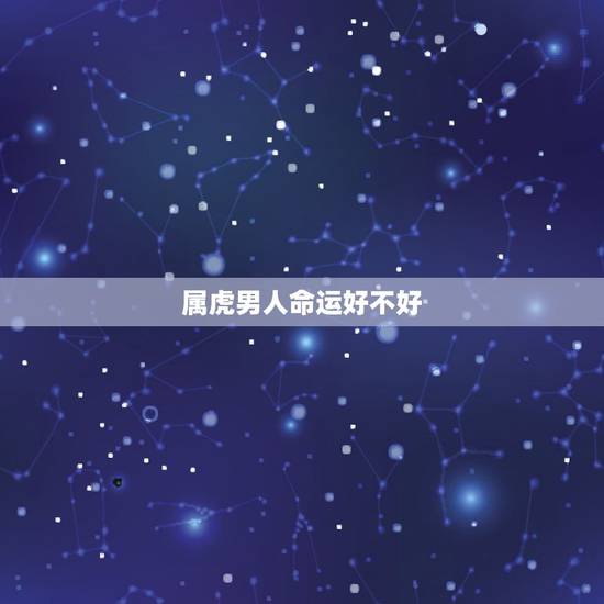 属虎男人命运好不好，属虎人的自信