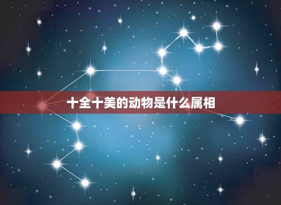 十全十美的动物是什么属相，十全十美是指什么生肖
