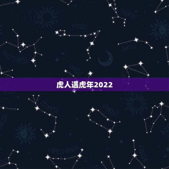虎人遇虎年2022,2022虎年邮票预定 虎人遇虎年2022,2022虎年邮票预定