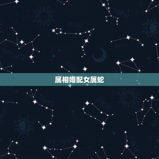 属相婚配女属蛇,生肖蛇跟什么最配,属蛇的属相婚配表 属相婚配女属蛇,生肖蛇跟什么最配,属蛇的属相婚配表