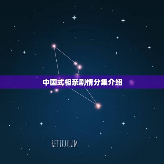 中国式相亲剧情分集介绍，电视剧中国式相亲中的安琪是谁