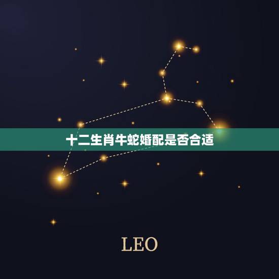 十二生肖牛蛇婚配是否合适，属牛和属蛇婚配如何？