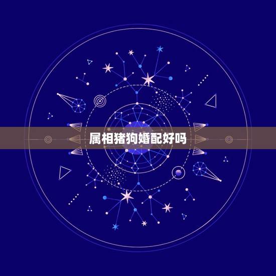 属相猪狗婚配好吗,属狗和什么属相最配 属狗的属相婚配表大全 属相猪狗婚配好吗,属狗和什么属相最配 属狗的属相婚配表大全