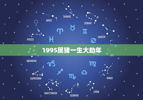 1995属猪一生大劫年，95年属猪的是什么命