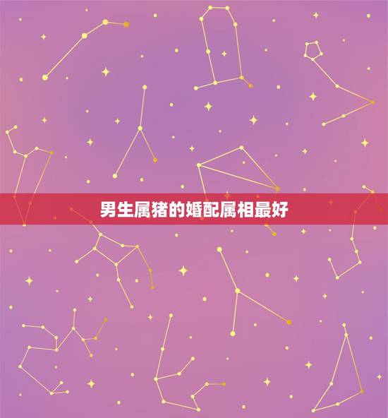 男生属猪的婚配属相最好,属相婚配表之属猪的和什么属相最配 男生属猪的婚配属相最好,属相婚配表之属猪的和什么属相最配