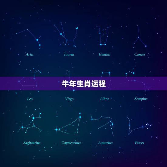 牛年生肖运程,牛年十二生肖运势2021运势详解 牛年生肖运程,牛年十二生肖运势2021运势详解