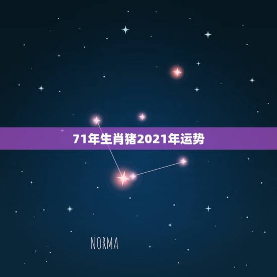 71年生肖猪2021年运势,1971年属猪2021年运势及运程 71年生肖猪2021年运势,1971年属猪2021年运势及运程