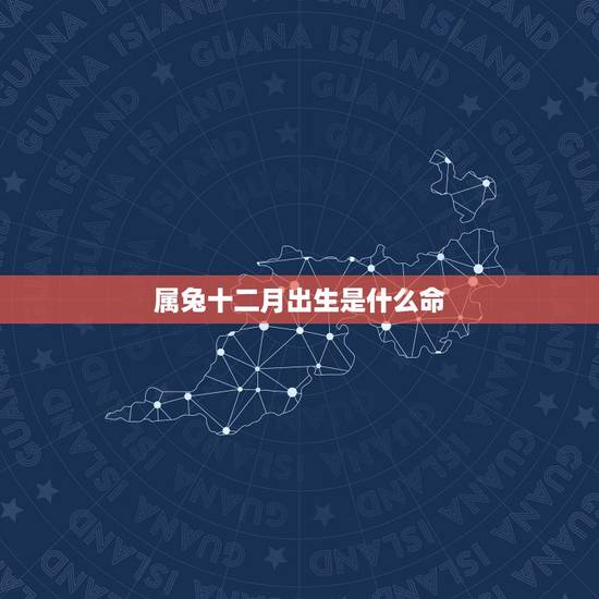 属兔十二月出生是什么命，农历十二月出生的女人命好吗