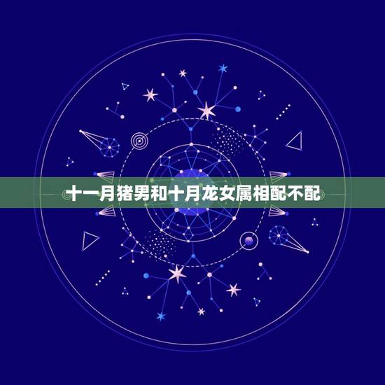 十一月猪男和十月龙女属相配不配,属龙女和属猪男姻缘如何,能结婚吗? 十一月猪男和十月龙女属相配不配,属龙女和属猪男姻缘如何,能结婚吗?