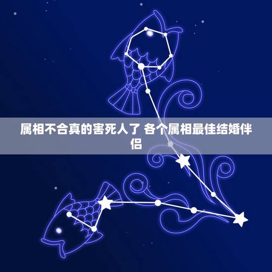 属相不合真的害死人了 各个属相最佳结婚伴侣