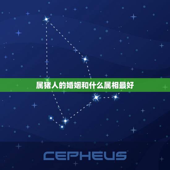 属猪人的婚姻和什么属相最好，最佳婚配属相