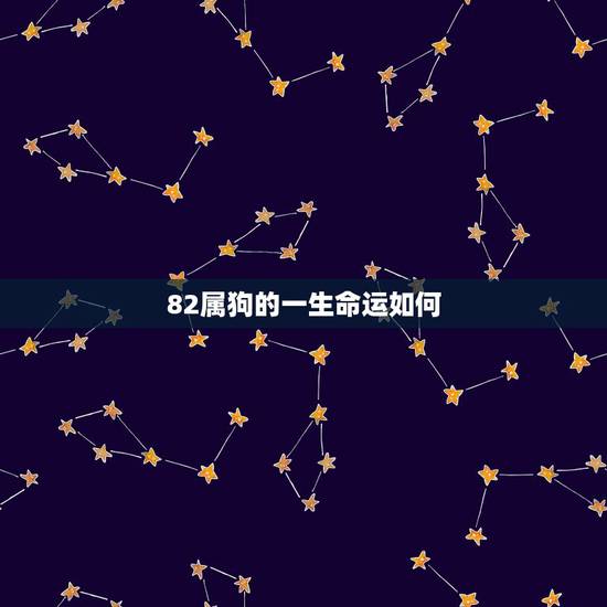 82属狗的一生命运如何，82年属狗的命运怎样？