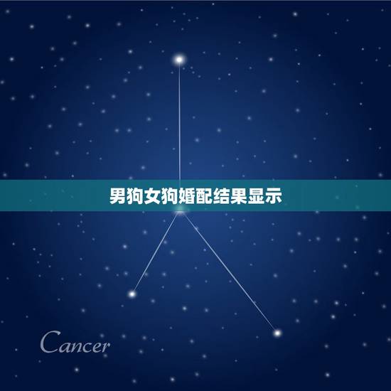 男狗女狗婚配结果显示,男属狗跟女属狗配吗? 男狗女狗婚配结果显示,男属狗跟女属狗配吗?