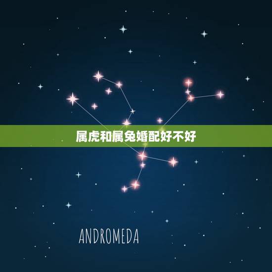 属虎和属兔婚配好不好,属虎和属兔的婚姻怎么样 属虎和属兔婚配好不好,属虎和属兔的婚姻怎么样