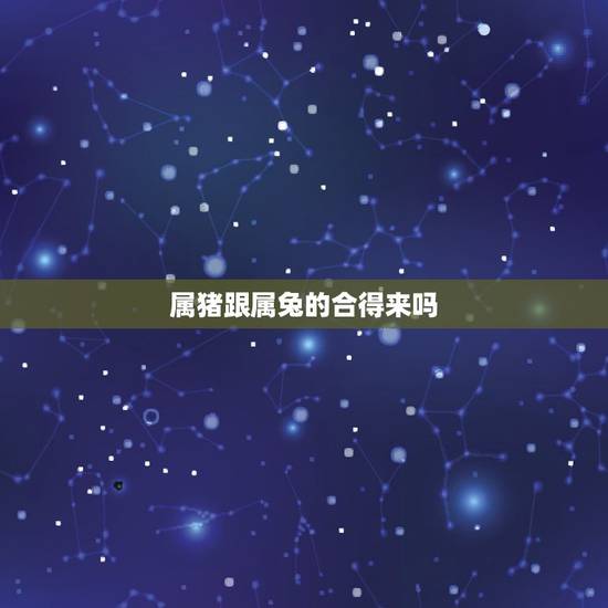 属猪跟属兔的合得来吗，属猪的2022 年运势怎么样