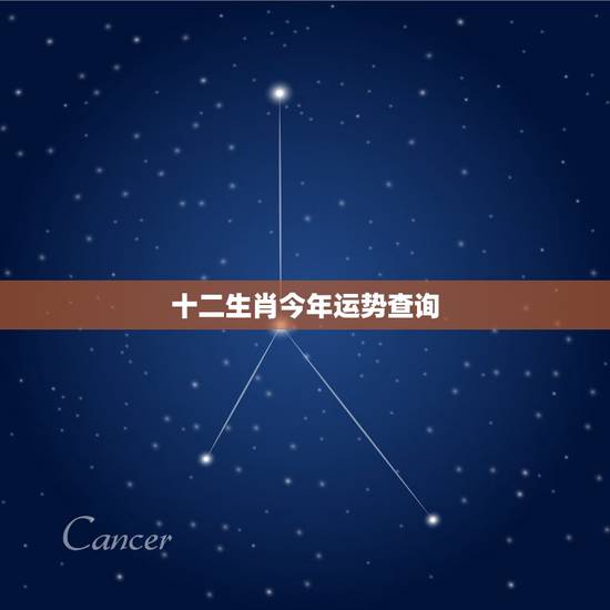 十二生肖今年运势查询,十二生肖2021年运势及运程每月运程 十二生肖今年运势查询,十二生肖2021年运势及运程每月运程