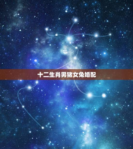 十二生肖男猪女兔婚配,兔属相跟十二生肖中什么属相最般配? 十二生肖男猪女兔婚配,兔属相跟十二生肖中什么属相最般配?