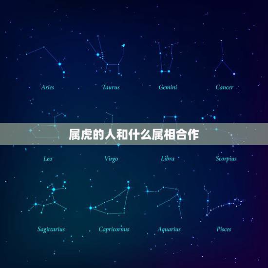 属虎的人和什么属相合作，属虎的和什么属相适合合作