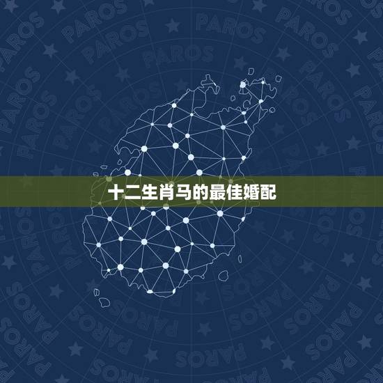 十二生肖马的最佳婚配,2002年属马的最佳婚配 十二生肖马的最佳婚配,2002年属马的最佳婚配