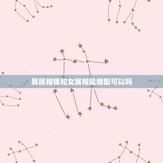 男属相猪和女属相鼠婚配可以吗，属相婚配：男属兔和女属猪相配吗