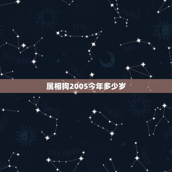 属相狗2005今年多少岁，属狗的有哪些年份