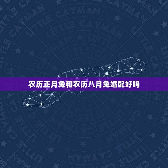 农历正月兔和农历八月兔婚配好吗，属兔的和什么属相在一起会大富大贵