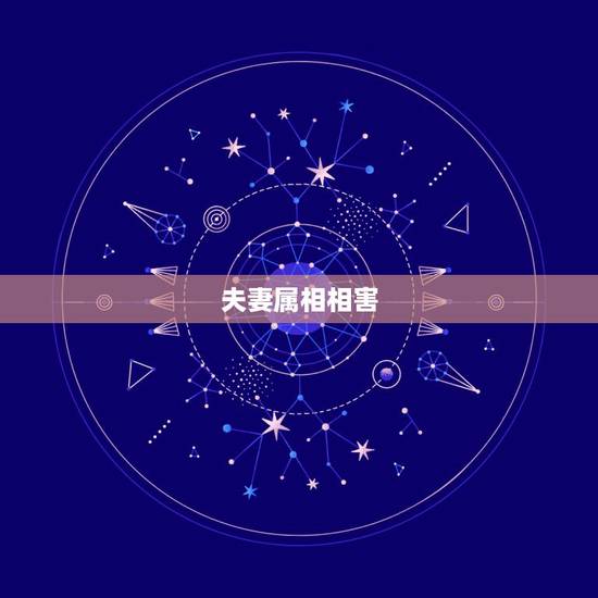 夫妻属相相害，属狗属龙的夫妻属相相冲，如何 化解！