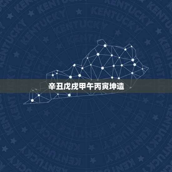 辛丑戊戌甲午丙寅坤造，壬戌乙巳乙卯乙酉坤造