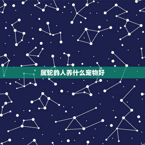 属蛇的人养什么宠物好,蛇的人比较喜欢养什么宠物 属蛇的人养什么宠物好,蛇的人比较喜欢养什么宠物