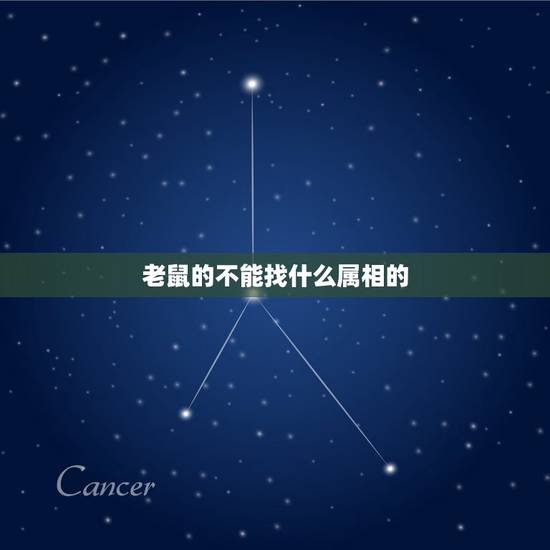 老鼠的不能找什么属相的，属鼠的不能找属什么的好