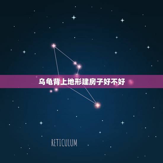 乌龟背上地形建房子好不好,乌龟盖房子 乌龟背上地形建房子好不好,乌龟盖房子