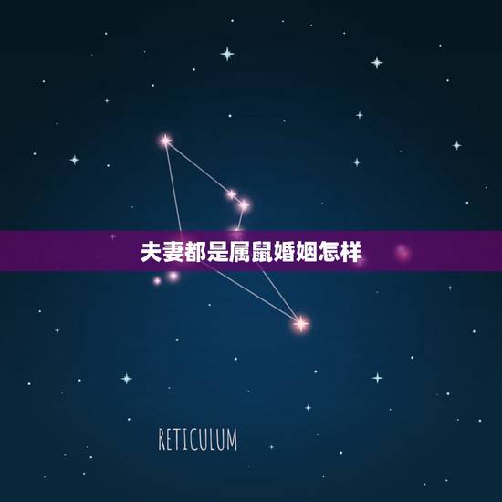 夫妻都是属鼠婚姻怎样,属鼠人的最佳配偶,婚姻跟命运如何 夫妻都是属鼠婚姻怎样,属鼠人的最佳配偶,婚姻跟命运如何
