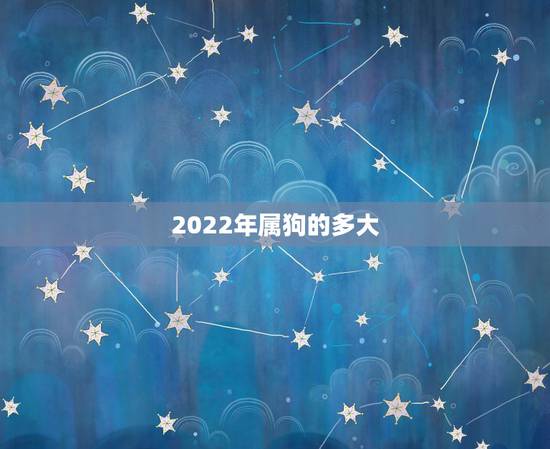 2022年属狗的多大,2022年属狗的全年运势 2022年属狗的多大,2022年属狗的全年运势