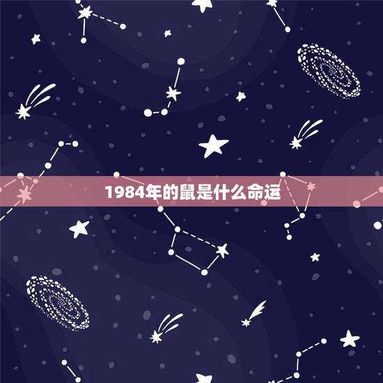 1984年的鼠是什么命运，1984年属鼠是什么命