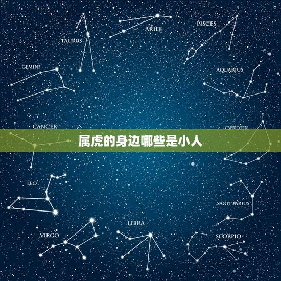 属虎的身边哪些是小人，属虎的命中小人