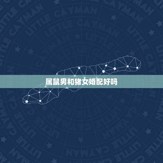 属鼠男和猪女婚配好吗，男属鼠女属马婚配真的不好吗