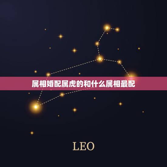 属相婚配属虎的和什么属相最配,女属虎的属相婚配表 属相婚配属虎的和什么属相最配,女属虎的属相婚配表
