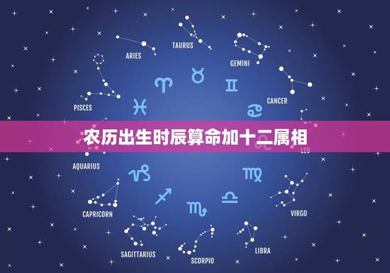 农历出生时辰算命加十二属相,农历生日时辰算命 农历出生时辰算命加十二属相,农历生日时辰算命