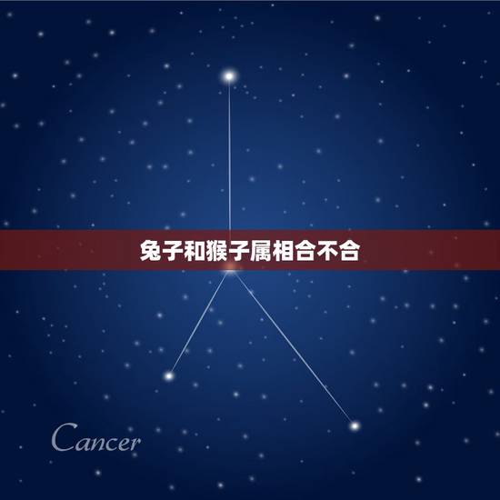 兔子和猴子属相合不合，“虎猴一家不贵必富”是什么意思？